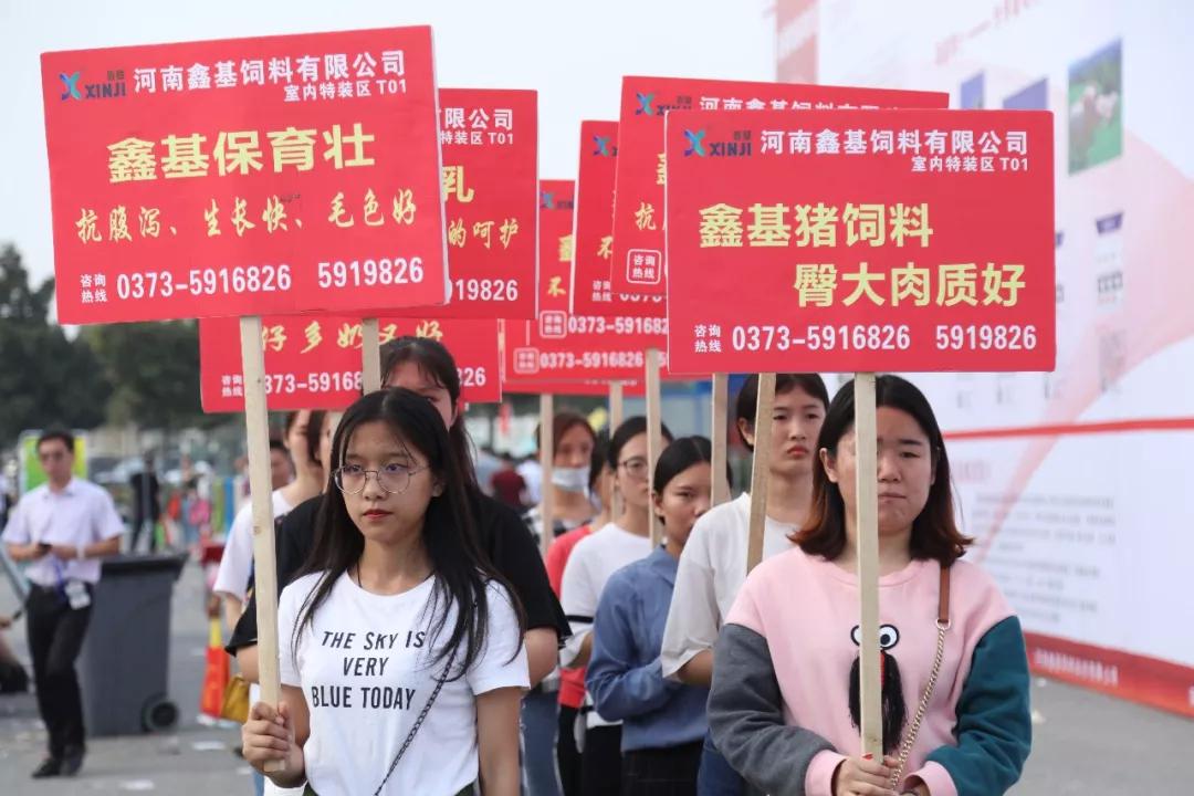 鄭州教槽料價(jià)格